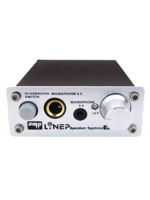 A907 Professional Two-channel Microphone Amplifier Dual Microphone Reverb