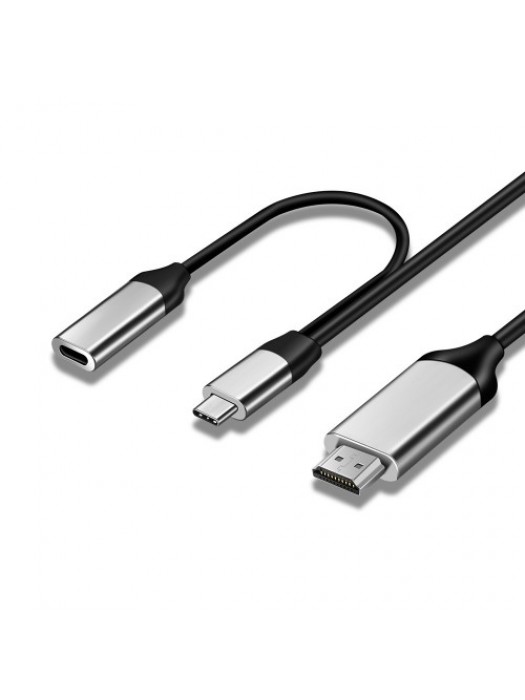 Zinc Alloy Type-C USB-C 3.1 Male to 4K@60Hz Video Display USB-C Female 20V5A PD Charge Cable